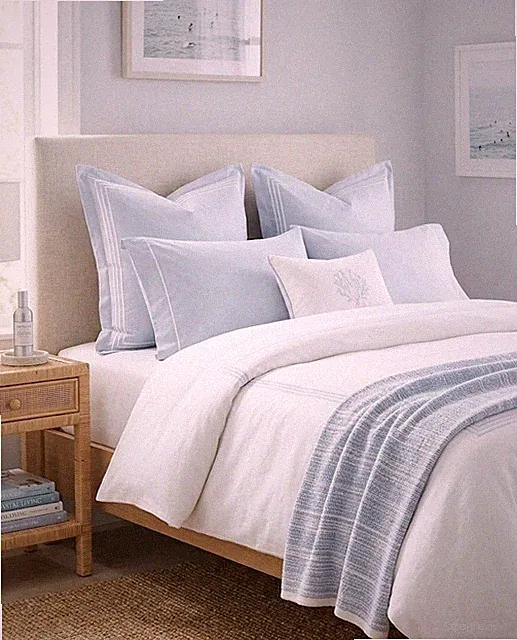NEW Serena & Lily Gobi Embroidered Euro Shams - Sky Blue/White - Set of 2