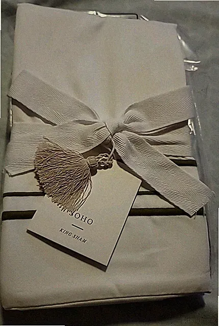 NEW Serena & Lily Soho King Sham Grove