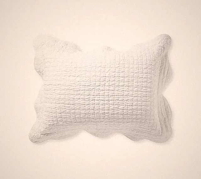 Serena and Lily Baywood White Standard Pillow Sham